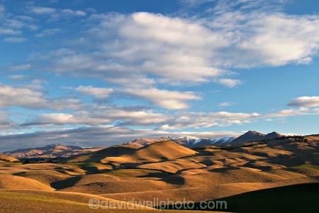 Duntroon;farm;farmland;farms;hill;hills;Landscape;light;New-Zealand;North-Otago;rural;South-Island;waitaki