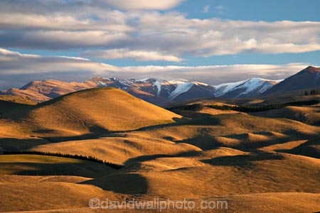 Duntroon;farm;farmland;farms;hill;hills;Landscape;light;New-Zealand;North-Otago;rural;South-Island;waitaki