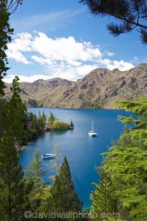 Benmore-Dam;boat;boats;Lake-Benmore;larch;larch-tree;larch-trees;larches;larix;Larix-decidua;N.Z.;New-Zealand;North-Otago;NZ;Otago;SI;South-Island;Waitaki-District;Waitaki-Valley;yacht;yachts