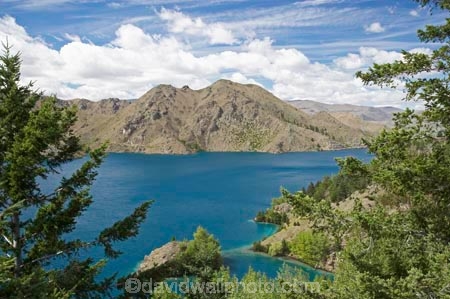 Benmore-Dam;Lake-Benmore;larch;larch-tree;larch-trees;larches;larix;Larix-decidua;N.Z.;New-Zealand;North-Otago;NZ;Otago;SI;South-Island;Waitaki-District;Waitaki-Valley