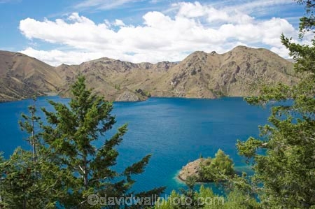 Benmore-Dam;Lake-Benmore;larch;larch-tree;larch-trees;larches;larix;Larix-decidua;N.Z.;New-Zealand;North-Otago;NZ;Otago;SI;South-Island;Waitaki-District;Waitaki-Valley