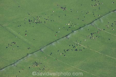 aerial;aerial-photo;aerial-photography;aerial-photos;aerials;agicultural-machine;agricultural;agriculture;animal;animals;automatic-irrigation;Benmore-Range;calves;Canterbury;cattle;country;countryside;cow;cows;crop;crops;cultivation;dairy;dairy-cow;dairy-cows;dairy-farm;dairy-farms;farm;farm-equipment;farm-implements;farm-machinery;farming;farmland;farms;field;fields;fur;grass;grassy;green;grow;growing;Herbivore;Herbivores;Herbivorous;horticulture;irrigate;irrigated-land;irrigation;irrigation-equipment;irrigation-scheme;Livestock;lush;machine;machines;Mackenzie;Mackenzie-Country;mammal;mammals;meadow;meadows;mobile-irrigation;N.Z.;New-Zealand;NZ;paddock;paddocks;pasture;pastures;rotary-irrigation;rural;South-Canterbury;south-island;spray;sprays;sprinkers;sprinkler;stock;Twizel;verdant