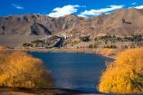 autumn;autumnal;dams;fall;gold;golden;hills;hydro-lake;hydro_electric;hydro_electric-power;lakes;tree;trees;water;willow;willows