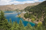 Benmore-Dam;Lake-Benmore;larch;larch-tree;larch-trees;larches;larix;Larix-decidua;N.Z.;New-Zealand;North-Otago;NZ;Otago;SI;South-Island;Waitaki-District;Waitaki-Valley