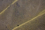 aerial;aerial-photo;aerial-photography;aerial-photos;aerials;Benmore-Range;High-Country;N.Z.;New-Zealand;North-Otago;NZ;Otago;ridge;ridge-lines;ridges;rugged;South-Island;steep;tussock;tussocks;Waitaki-District