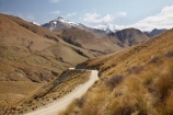 back-country;backcountry;Central-Otago;countryside;Dansey-Pass;Danseys-Pass;Danseys-Pass;Danseys-Pass-Road;gravel-road;gravel-roads;high-altitude;high-country;highcountry;highlands;Maniototo;metal-road;metal-roads;metalled-road;metalled-roads;N.Z.;New-Zealand;North-Otago;NZ;Otago;remote;remoteness;road;roads;rural;S.I.;SI;South-Is.;South-Island;tussock;tussockland;tussocklands;tussocks;uiplands;upland;uplands;Waitaki-District;Waitaki-region