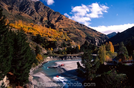 shotover;shotover-jet;shotover-river;river;rivers;queentown;autumn;fall;jet-boat;jet-boats;water;tree;trees;poplar;poplars;evergreen;evergreens;pine;pine-tree;pine-trees;speed;fast;white-water;whitewater;white_water;tour;tours;tourist;tourists;boat;boat-ramp;boats;mountain;mountains;mountainous;valley