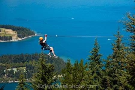 adrenaline;adventure-tourism;aerial-ropeslide;aerial-runway;death-slide;fast;flying-fox;flying-foxes;flying_fox;flying_foxes;flyingfox;flyingfoxes;foefie-slide;heights;high;lake;Lake-Wakatipu;lakes;N.Z.;New-Zealand;NZ;Otago;people;person;Queenstown;S.I.;SI;skyline;South-Is;South-Is.;South-Island;Southern-Lakes;Southern-Lakes-District;Southern-Lakes-Region;Sth-Is;Sypline;tourism;tourist;tourists;tree;trees;zip-cable;zip-cables;zip-line;zip-lines;zip-lining;Zip-Trek;Zip-Trek-Ecotours;zip-wire;zip-wires;zip_line;zip_lines;zip_lining;zipline;ziplines;ziplining;Ziptrek;Ziptrek-Ecotours