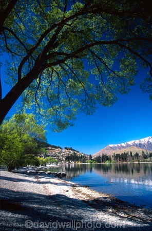 Queenstown;Central-Otago;Lake-Wakatipu;Wakatipu;lake;water;blue;green;tree;trees;mountain;mountains;shore;beach;stones;stone;overhang;overhanging;shade;shadow;reflect;reflection;reflecting;distance;distant;houses;summer;holiday;toursim