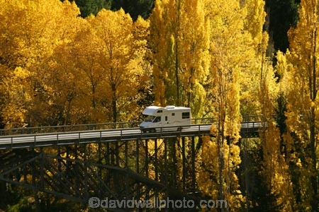 Autumn;bridge;bridges;camper;camper-van;camper-vans;camper_van;camper_vans;campers;campervan;campervans;car;cars;central-otago;color;colour;fall;gold;golden;holiday;holidaying;holidays;Kawarau-Gorge;Kawarau-River;motor-caravan;motor-caravans;motor-home;motor-homes;motor_home;motor_homes;motorhome;motorhomes;New-Zealand;poplar;poplars;Queenstown-Road;river;rivers;season;seasonal;seasons;South-Island;tour;touring;tourism;tourist;tourists;travel;traveler;travelers;traveling;traveller;travellers;travelling;tree;trees;vacation;vacationers;vacationing;vacations;valley;valleys;van;vans;victoria-bridge;willow;willows;yellow