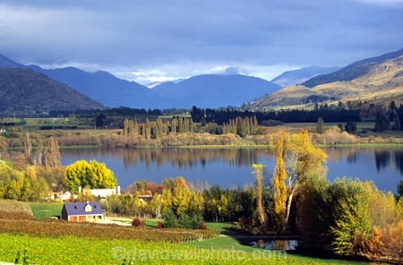 bird-nets;central-otago-vineyards;crop;crops;cultivation;farm;farming;farms;field;fields;grape;grapes;grapevine;horticulture;lakes;net;netting;rural;vine;vines;vineyard;vineyards;vintage;wine;wineries;winery;wines