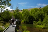 bicycle;bicycles;bike;bike-track;bike-tracks;bike-trail;bike-trails;bikes;biking;boardwalk;boardwalks;bridge;bridges;child;children;cycle;cycle-bridge;cycle-bridges;cycle-track;cycle-tracks;cycle-trail;cycle-trails;cycler;cyclers;cycles;cycling;cyclist;cyclists;families;family;kid;kids;Lake-Hayes-bike-track;Lake-Hayes-Bike-Trail;Lake-Hayes-Circuit;Lake-Hayes-cycle-track;Lake-Hayes-Cycle-Trail;leisure;mountain-bike;mountain-biker;mountain-bikers;mountain-bikes;mtn-bike;mtn-biker;mtn-bikers;mtn-bikes;N.Z.;New-Zealand;NZ;Otago;people;person;push-bike;push-bikes;push_bike;push_bikes;pushbike;pushbikes;Queenstown-Bike-Trail;Queenstown-Cycle-Trail;Queenstown-Trail;Queenstown-Trails;recreation;S.I.;SI;South-Is;South-Island;Southern-Lakes;Southern-Lakes-District;Southern-Lakes-Region;Sth-Is;tourism;tourist;tourists;wetland;wetlands