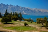 conifer;conifers;fairway;fairways;golf;golf-course;golf-links;golfcourses;golfing;Kelvin-Heights;Kelvin-Heights-Golf-Course;Kelvin-Peninsula;lake;Lake-Wakatipu;lakes;leisure;N.Z.;New-Zealand;NZ;Otago;past_time;past_times;pine-tree;pine-trees;Queenstown;Queenstown-Golf-Club;Queenstown-Golf-Course;S.I.;SI;South-Is;South-Is.;South-Island;Southern-Lakes;Southern-Lakes-District;Southern-Lakes-Region;sport;sports;Sth-Is;The-Remarkables;tree;trees