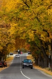 Arrowtown;autuminal;autumn;autumn-colour;autumn-colours;autumnal;car;cars;color;colors;colour;colours;deciduous;fall;gold;golden;leaf;leaves;N.Z.;New-Zealand;NZ;Otago;Queenstown;Range-Rover;Range_Rover;RangeRover;road;roads;season;seasonal;seasons;South-Is;South-Island;Sth-Is;tree;trees;yellow