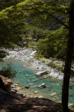 beautiful;beauty;Beech-Forest;bush;clean-water;clear-water;endemic;forest;forests;green;Greenstone-River;Greenstone-Track;Greenstone-Valley;N.Z.;native;native-bush;natives;natural;nature;New-Zealand;Nothofagus;NZ;Otago;pathways;pure-water;rain-forest;rain-forests;rain_forest;rain_forests;rainforest;rainforests;river;rivers;S.I.;scene;scenic;SI;South-Is.;South-Island;southern-beeches;subtropical-rainforest;subtropical-rainforests;Te-Ara-Roa;Te-Araroa;Te-Araroa-Pathway;Te-Araroa-Walkway;The-Long-Pathway;The-Long-Walkway;timber;tramping-track;tramping-tracks;tramping-trail;tramping-trails;tree;trees;trekking-track;trekking-tracks;trekking-trail;trekking-trails;walking-track;walking-tracks;walking-trail;walking-trails;walkway;walkways;wood;woods