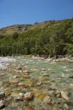 beautiful;beauty;Beech-Forest;bush;clean-water;clear-water;endemic;forest;forests;green;Greenstone-River;Greenstone-Track;Greenstone-Valley;N.Z.;native;native-bush;natives;natural;nature;New-Zealand;Nothofagus;NZ;Otago;pathways;pure-water;rain-forest;rain-forests;rain_forest;rain_forests;rainforest;rainforests;river;rivers;S.I.;scene;scenic;SI;South-Is.;South-Island;southern-beeches;subtropical-rainforest;subtropical-rainforests;Te-Ara-Roa;Te-Araroa;Te-Araroa-Pathway;Te-Araroa-Walkway;The-Long-Pathway;The-Long-Walkway;timber;tramping-track;tramping-tracks;tramping-trail;tramping-trails;tree;trees;trekking-track;trekking-tracks;trekking-trail;trekking-trails;walking-track;walking-tracks;walking-trail;walking-trails;walkway;walkways;wood;woods