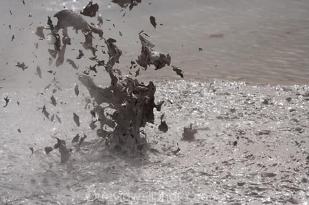 activity;bay-of-plenty;boiling-mud;bubble;bubbles;bubbling;bubbling-mud;danger;dangerous;explode;exploding;exploding-mud;force;geothermal;hot;muddy;N.I.;N.Z.;natural;nature;New-Zealand;NI;North-Is;north-is.;north-island;NZ;rotorua;splatter;steam;thermal;thermal-activity;thermal-area;vent;volcanic