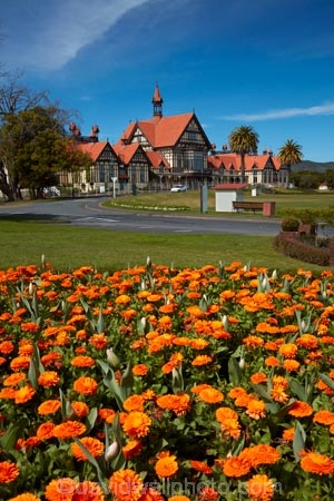 Bath-House;Bay-of-Plenty-Region;bloom;blooming;blooms;building;buildings;floral;flower;flower-bed;flower-beds;flower-garden;flower-gardens;flowers;garden;gardens;Government-Gardens;heritage;historic;historic-building;historic-buildings;historical;historical-building;historical-buildings;history;N.I.;N.Z.;New-Zealand;NI;North-Is;North-Island;Nth-Is;NZ;old;orange;orange-flowers;public-flower-garden;public-garden;public-gardens;Rotorua;Rotorua-Museum;tradition;traditional