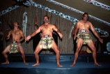 culture;maoris;performance;perform;marae;meeting-house;demonstation;live-performance;performances;cultural;maori-village;indigenous;sacred