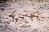 activity;bay-of-plenty;boiling-mud;Boiling-Mud-Pool;bubble;bubbles;bubbling-mud;danger;dangerous;explode;exploding;exploding-mud;force;geothermal;hot;muddy;N.I.;N.Z.;natural;nature;new-zealand;NI;north-is.;north-island;NZ;Orakei-Korako;Orakei-Korako-Thermal-Area;rotorua;splatter;steam;Taupo;thermal;thermal-activity;thermal-area;vent;volcanic