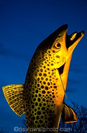 fishing;fish;statue;statues;brown-trout;art;welcome;sign;signs;signage