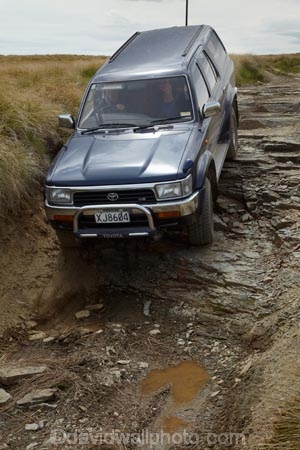 3011;4wd;4wd-track;4wd-tracks;4wds;4wds;4x4;4x4s;4x4s;back-country;backcountry;Central-Otago;four-by-four;four-by-fours;four-wheel-drive;four-wheel-drives;high-altitude;high-country;Highcountry;highlands;island;man;N.Z.;new;new-zealand;NZ;old;Old-Man-Range;range;remote;remoteness;rough-track;S.I.;SI;south;South-Is;South-Island;Southland;sports-utility-vehicle;sports-utility-vehicles;Sth-Is;suv;suvs;toyota-hilux;toyota-hiluxes;toyotas;upland;uplands;vehicle;vehicles;Waikaia-Bush-Rd;Waikaia-Bush-Road;Waikaia-Bush-Track;zealand