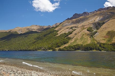 altitude;beautiful;beauty;Beech-Forest;bush;bush-line;bush-lines;bush_line;bush_lines;bushline;bushlines;endemic;forest;forests;green;lake;lakes;Livingstone-Mountains;Mavora-Lakes;Mavora-Track;Mavora-Walkway;N.Z.;native;native-bush;natives;natural;nature;New-Zealand;North-Mavora-Lake;Nothofagus;NZ;S.I.;scene;scenic;shoreline;shorelines;SI;snow-line;snow-lines;snow_line;snow_lines;snowline;snowlines;South-Is;South-Island;southern-beeches;Southland;Sth-Is;timber;tree;tree-line;tree-lines;tree_line;tree_lines;treeline;treelines;trees;wood;woods