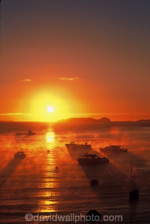 colour;colours;color;colors;orange;dawn;mist;fog;foggy;boat;island;bays;islands;ocean;sea;pacific;sun;reflection;water