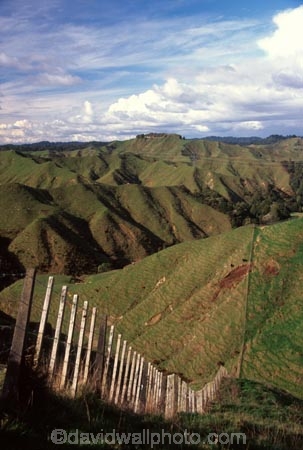 spring;grass;green;fence;fences;fenceline;fence-line;fence_line;farm;farms;farming;farmland;paddock;paddocks;field;fields;pasture;pastures;meadow;meadows;agriculture;rural;taranaki;new-zealand;whangamomona;stratford;taumarunui