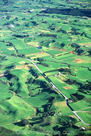 spring,-grass,-green,-fence,-fe;hedgerow;hedgerows;sheep;lamb;lambs;farm;farms;farming;farmland;paddock;paddocks;field;fields;pasture;pastures;meadow;meadows;agriculture;rural;dairy;cow;cows;plain;plains;verdant;lush;taranaki;new-zealand;aerials;aerial