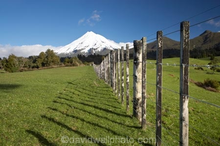 agricultural;agriculture;country;countryside;dairy-farm;dairy-farming;dairy-farms;farm;farming;farmland;farms;fence;fence-line;fence-lines;fence_line;fence_lines;fenceline;fencelines;fences;field;fields;meadow;meadows;Mount-Egmont;Mount-Taranaki;Mount-Taranaki-Egmont;Mountain;mountainous;mountains;mt;Mt-Egmont;Mt-Taranaki;Mt-Taranaki-Egmont;mt.;Mt.-Egmont;Mt.-Taranaki;Mt.-Taranaki-Egmont;N.I.;N.Z.;New-Zealand;NI;North-Is;North-Is.;North-Island;NZ;paddock;paddocks;pasture;pastures;rural;season;seasonal;seasons;snow;Taranaki;volcanic;volcano;volcanoes;winter