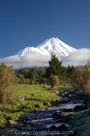 agricultural;agriculture;brook;brooks;country;countryside;creek;creeks;dairy-farm;dairy-farming;dairy-farms;Egmont-N.P.;Egmont-National-Park;Egmont-NP;farm;farming;farmland;farms;field;fields;flow;meadow;meadows;Mount-Egmont;Mount-Taranaki;Mount-Taranaki-Egmont;Mountain;mountainous;mountains;mt;Mt-Egmont;Mt-Taranaki;Mt-Taranaki-Egmont;mt.;Mt.-Egmont;Mt.-Taranaki;Mt.-Taranaki-Egmont;N.I.;N.Z.;New-Zealand;NI;North-Is;North-Is.;North-Island;NZ;paddock;paddocks;pasture;pastures;rural;season;seasonal;seasons;snow;stream;streams;Taranaki;volcanic;volcano;volcanoes;water;wet;winter