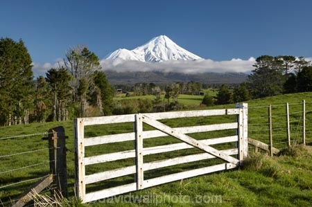 agricultural;agriculture;country;countryside;dairy-farm;dairy-farming;dairy-farms;farm;farm-gate;farm-gates;farming;farmland;farms;fence;fence-line;fence-lines;fence_line;fence_lines;fenceline;fencelines;fences;field;fields;gate;gates;gateway;gateways;meadow;meadows;Mount-Egmont;Mount-Taranaki;Mount-Taranaki-Egmont;Mountain;mountainous;mountains;mt;Mt-Egmont;Mt-Taranaki;Mt-Taranaki-Egmont;mt.;Mt.-Egmont;Mt.-Taranaki;Mt.-Taranaki-Egmont;N.I.;N.Z.;New-Zealand;NI;North-Is;North-Is.;North-Island;NZ;paddock;paddocks;pasture;pastures;rural;season;seasonal;seasons;snow;Stratford;Taranaki;volcanic;volcano;volcanoes;winter