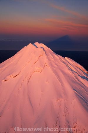 aerial;aerial-photo;aerial-photograph;aerial-photographs;aerial-photography;aerial-photos;aerial-view;aerial-views;aerials;alp;alpenglo;alpenglow;alpine;alpinglo;alpinglow;alps;altitude;apricot;break-of-day;cold;color;colors;colour;colours;dawn;dawning;daybreak;Egmont-N.P.;Egmont-National-Park;Egmont-NP;first-light;freeze;freezing;high-altitude;morning;mount;Mount-Egmont;Mount-Taranaki;Mount-Taranaki-Egmont;mountain;mountain-peak;mountainous;mountains;mountainside;mt;Mt-Egmont;Mt-Taranaki;Mt-Taranaki-Egmont;mt.;Mt.-Egmont;Mt.-Taranaki;Mt.-Taranaki-Egmont;N.I.;N.Z.;New-Zealand;NI;North-Is;North-Is.;North-Island;NZ;orange;peak;peaks;pink;season;seasonal;seasons;shadow;shadows;snow;snow-capped;snow_capped;snowcapped;snowy;summit;summits;sunrise;sunrises;sunup;Taranaki;volcanic;volcano;volcanoes;white;winter;wintery