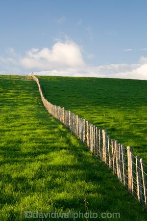 agricultural;agriculture;country;countryside;farm;farming;farmland;farms;fence;fence-line;fence-lines;fence_line;fence_lines;fenceline;fencelines;fences;field;fields;meadow;meadows;N.I.;N.Z.;New-Zealand;NI;North-Island;NZ;paddock;paddocks;pasture;pastures;rural;Wanganui;Wanganui-Region