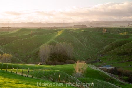 agricultural;agriculture;country;countryside;farm;farming;farmland;farms;field;fields;meadow;meadows;N.I.;N.Z.;New-Zealand;NI;North-Island;NZ;paddock;paddocks;pasture;pastures;rural;Wanganui;Wanganui-Region