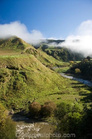 agricultural;agriculture;cloud;clouds;cloudy;country;countryside;farm;farming;farmland;farms;field;fields;fog;foggy;fogs;Mangawhero-River;Mangawhero-Valley;meadow;meadows;mist;mists;misty;N.I.;N.Z.;New-Zealand;NI;North-Island;NZ;paddock;paddocks;pasture;pastures;rural;Wanganui;Wanganui-Region