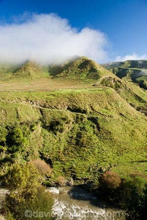 agricultural;agriculture;cloud;clouds;cloudy;country;countryside;farm;farming;farmland;farms;field;fields;fog;foggy;fogs;Mangawhero-River;Mangawhero-Valley;meadow;meadows;mist;mists;misty;N.I.;N.Z.;New-Zealand;NI;North-Island;NZ;paddock;paddocks;pasture;pastures;rural;Wanganui;Wanganui-Region