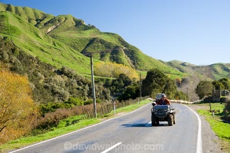 agricultural;agriculture;autuminal;autumn;autumn-colour;autumn-colours;autumnal;color;colors;colour;colours;country;countryside;deciduous;driving;fall;farm;Farm-Bike;Farm-Bikes;farming;farmland;farms;field;fields;highway;highways;Kakatahi;leaf;leaves;Mangawhero-Valley;meadow;meadows;N.I.;N.Z.;New-Zealand;NI;North-Island;NZ;open-road;open-roads;paddock;paddocks;pasture;pastures;Quad-Bike;Quad-Bikes;road;road-trip;roads;rural;season;seasonal;seasons;transport;transportation;travel;traveling;travelling;tree;trees;trip;Wanganui;Wanganui-Region