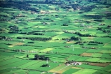 spring;grass;green;fence;fences;hedgerow;hedgerows;sheep;lamb;lambs;farm;farms;farming;farmland;paddock;paddocks;field;fields;pasture;pastures;meadow;meadows;agriculture;rural;dairy;cow;cows;plain;plains;verdant;lush;taranaki;new-zealand;aerials;aerial