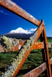 spring;grass;green;fence;fenceline;paddock;paddocks;field;fields;pasture;pastures;meadow;meadows;agriculture;rural;farm;farms;farmer;farming;lush;verdant;cow;cows;milk;mountain;volcano;volcanoes;snow;winter;mountains;icon;Mount-Taranaki;Mount-Egmont;taranaki;egmont;mt-taranaki;mt-egmont;mt.-tranaki;mt.-egmont;new-zealand;fence;fenceline;fences;gate;gates;rustic;lichen;lichens;gateway