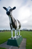 cow;cows;dairy-cow;dairy-cows;dairyland;Hawera;N.I.;N.Z.;New-Zealand;NI;North-Island;NZ;Taranaki;Whareroa