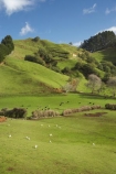 Taranaki / Wanganui