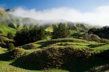 agricultural;agriculture;cloud;clouds;cloudy;country;countryside;farm;farming;farmland;farms;field;fields;fog;foggy;fogs;meadow;meadows;mist;mists;misty;N.I.;N.Z.;New-Zealand;NI;North-Island;NZ;paddock;paddocks;pasture;pastures;rural;Wanganui;Wanganui-Region