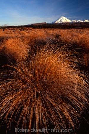 cone;mountain;mountains;peak;peaks;snow;snow-cap;snow-capped;snow-caps;snow_cap;snow_capped;tussock;tussocks;volcanic;volcano