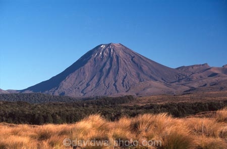 cone;mountain;mountains;peak;peaks;snow;snow-cap;snow-capped;snow-caps;snow_cap;snow_capped;tussock;tussocks;volcanic;volcano