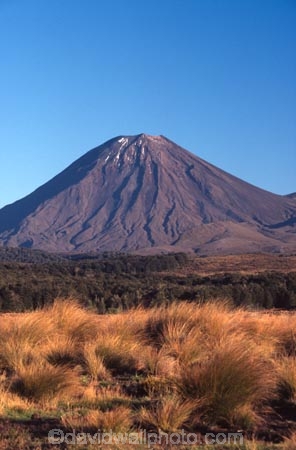 cone;mountain;mountains;peak;peaks;snow;snow-cap;snow-capped;snow-caps;snow_cap;snow_capped;tussock;tussocks;volcanic;volcano