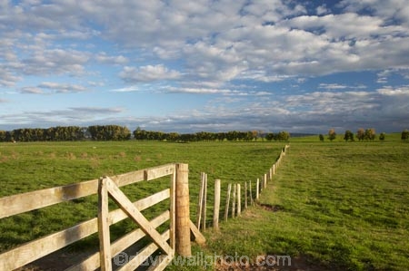 agricultural;agriculture;Central-North-Island;country;countryside;farm;farming;farmland;farms;fence;fence-line;fence-lines;fence_line;fence_lines;fenceline;fencelines;fences;field;fields;gate;gates;gateway;gateways;meadow;meadows;N.I.;N.Z.;New-Zealand;NI;North-Island;NZ;paddock;paddocks;pasture;pastures;rural;Taupo