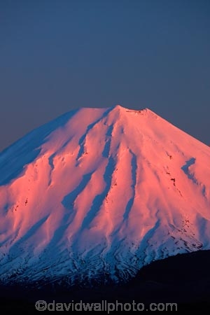 alpenglo;alpenglow;alpine;alpinglo;alpinglow;break-of-day;central;Central-North-Island;Central-Plateau;cold;color;colors;colour;colours;dawn;dawning;daybreak;first-light;island;morning;Mount-Ngauruhoe;mountain;mountainous;mountains;mt;Mt-Ngauruhoe;mt.;Mt.-Ngauruhoe;N.I.;N.Z.;national;National-Park;national-parks;new;new-zealand;ngauruhoe;NI;north;North-Is;north-island;NP;Nth-Is;NZ;orange;park;pink;plateau;Ruapehu-District;season;seasonal;seasons;snow;snowy;sunrise;sunrises;sunup;tongariro;Tongariro-N.P.;Tongariro-National-Park;Tongariro-NP;twilight;volcanic;volcanic-plateau;volcano;volcanoes;w3a9500;white;winter;wintery;World-Heritage-Area;World-Heritage-Areas;World-Heritage-Site;World-Heritage-Sites;zealand