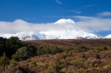 alpine;central-plateau;cloud;clouds;cloudy;cold;freeze;freezing;Mount-Ngauruhoe;Mountain;mountainous;mountains;mt;Mt-Ngauruhoe;mt.;Mt.-Ngauruhoe;N.I.;N.Z.;New-Zealand;NI;North-Island;NZ;ruapehu-district;season;seasonal;seasons;snow;snowing;snowy;Tongariro-N.P.;Tongariro-National-Park;Tongariro-NP;volcanic;volcanic-plateau;volcano;volcanoes;white;winter;wintery;World-Heritage-Area;World-Heritage-Areas;World-Heritage-Site;World-Heritage-Sites